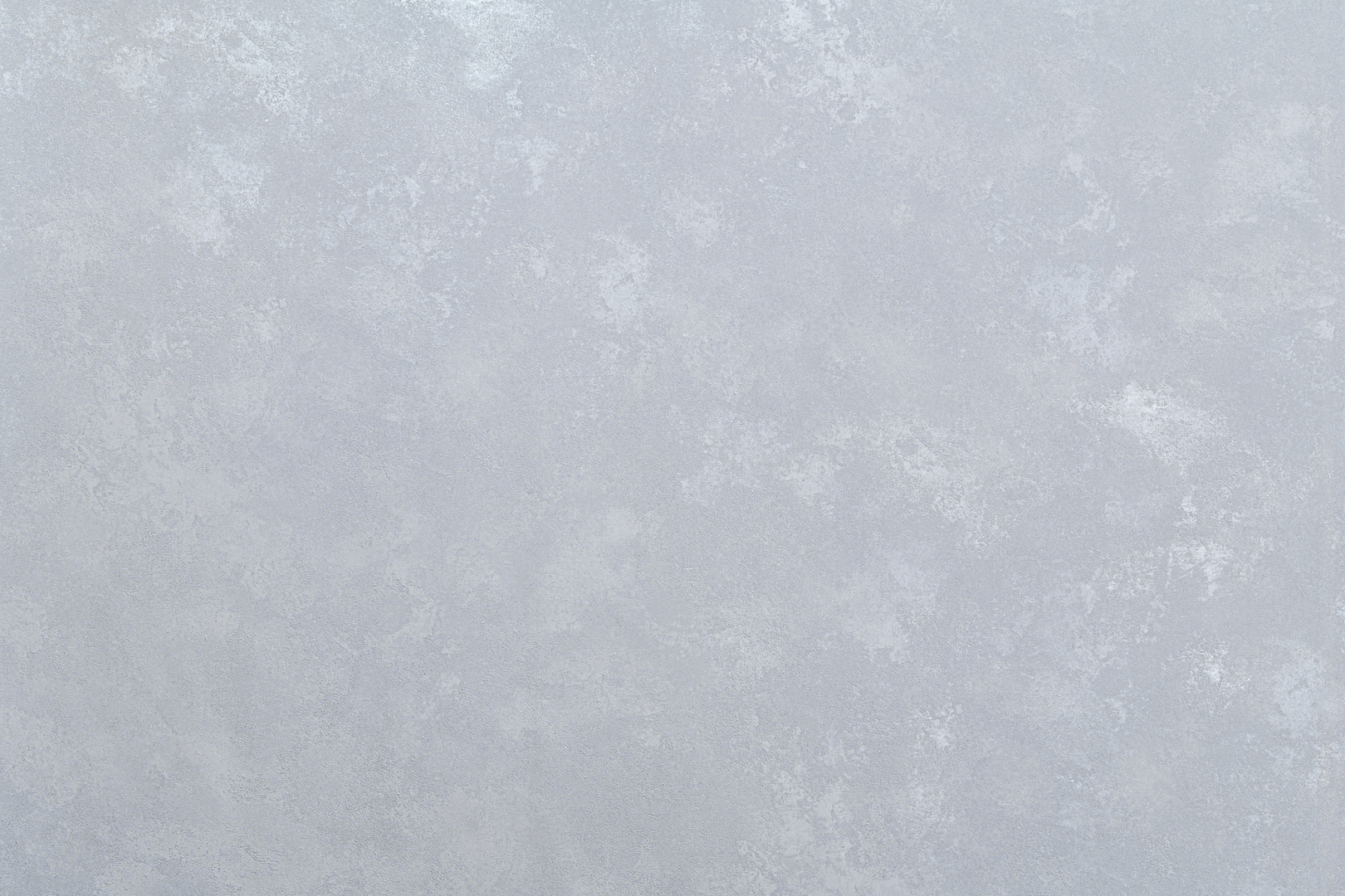Forest AR11199-04