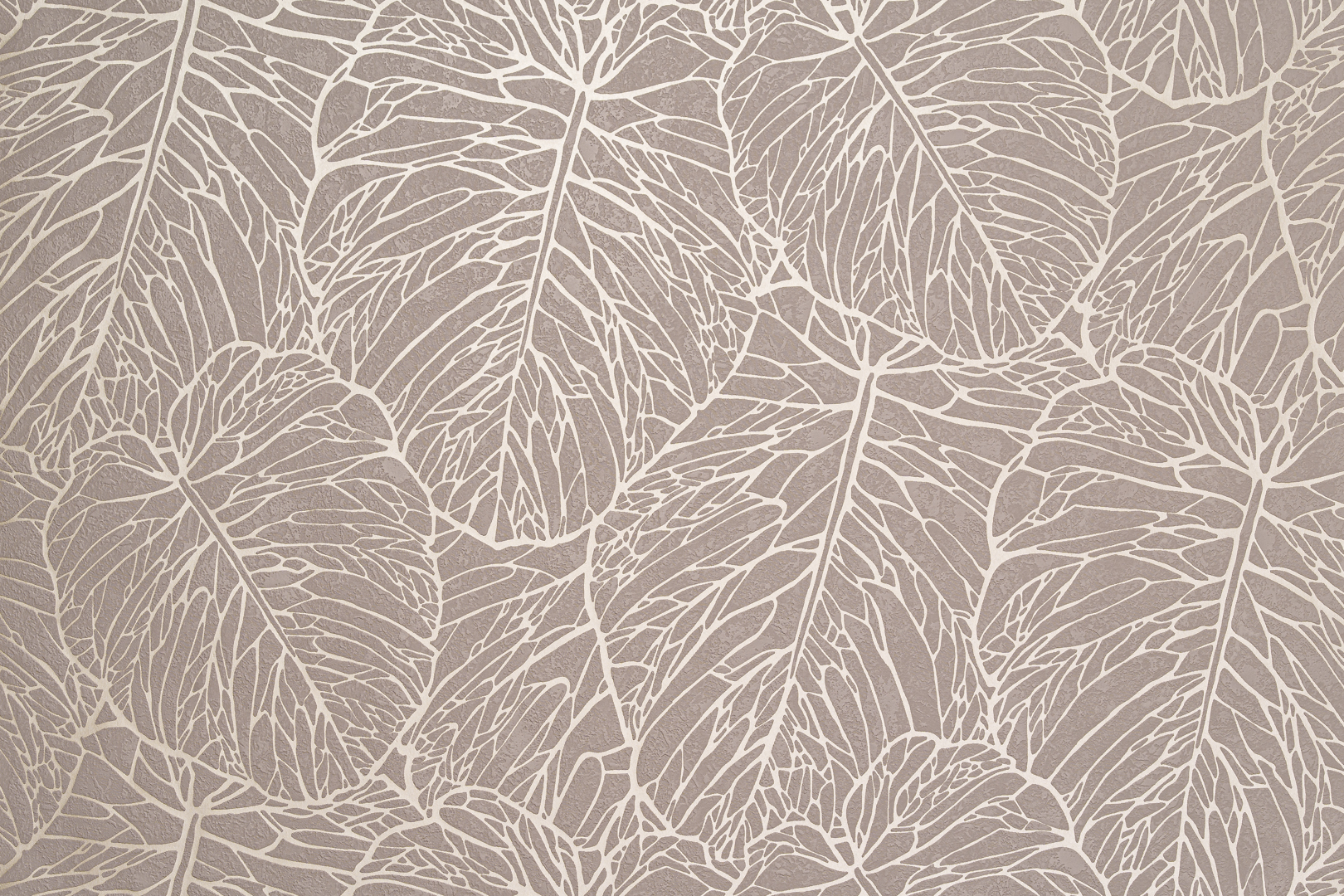 Forest  AR11202-04