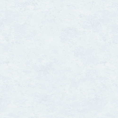 ���� ������������ Oasis 60596-04