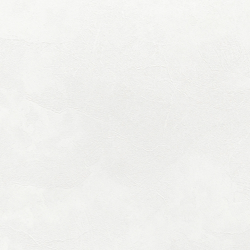 ���� ������������ Veter 60560-01